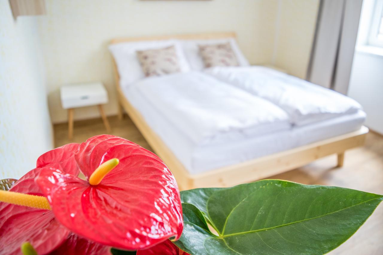 U Cmelaku Hotell Červená Voda Eksteriør bilde